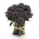 brocoli brote violeta fruit logistica