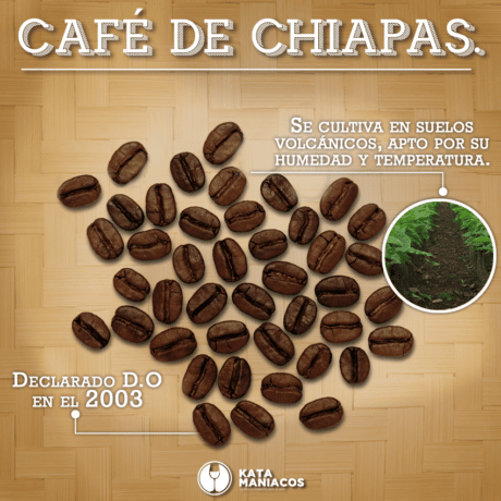 CAFE DE CHIAPAS D.O.