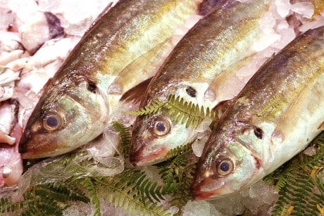 Panel de consumo: aumenta el consumo de productos pesqueros un 4% en 2013