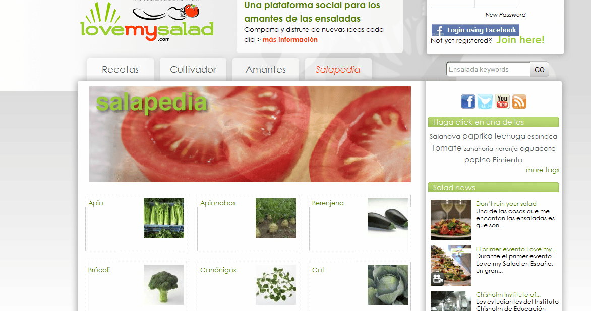 página web en español mylovesalad