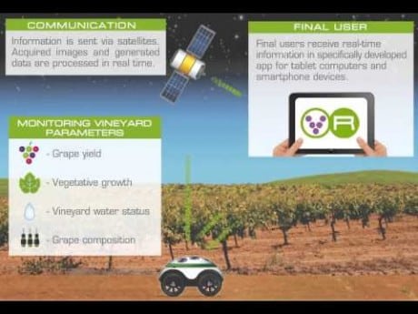 Proyecto VineRobot, un vehículo que mejorará la gestión de los viñedos