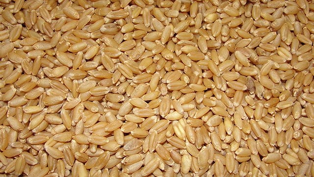 Las mejores marcas de aceite de germen de trigo