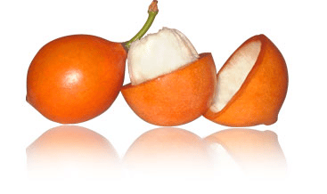 achacha fruit logistica award