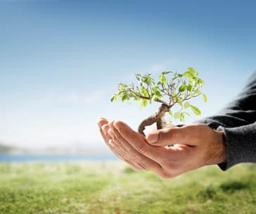 Marketing verde & Marketing ecológico en Alimentos