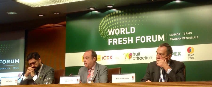 World Fresh Forum: oportunidades del mercado hortofrutícola