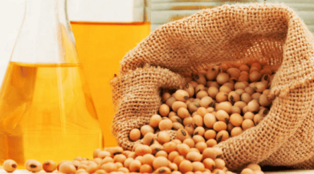 Top 10 fabricantes de aceite de soja