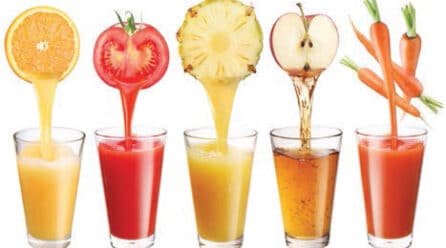 Fabricantes de concentrados de frutas