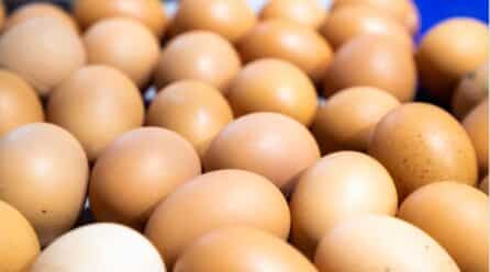 Los catalanes y los vascos, los que más huevos consumen