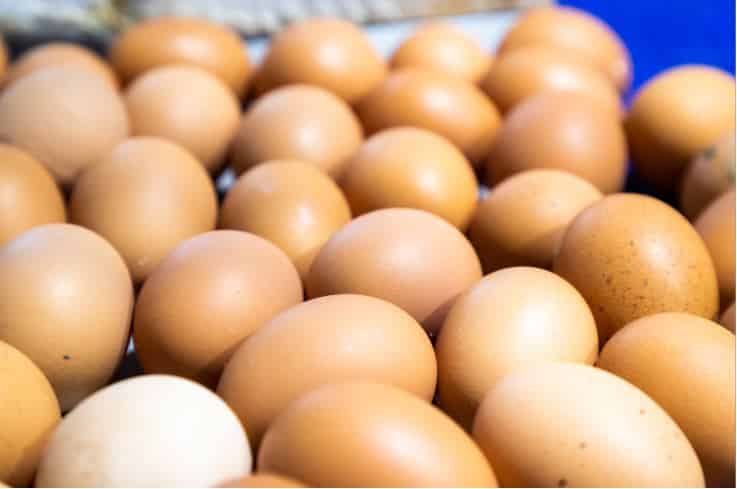 Los catalanes y los vascos, los que más huevos consumen