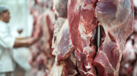 Japón y Corea del Sur: Nuevos mercados para la carne vacuna uruguaya