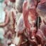 Se incrementa la exportación de carne vacuna uruguaya
