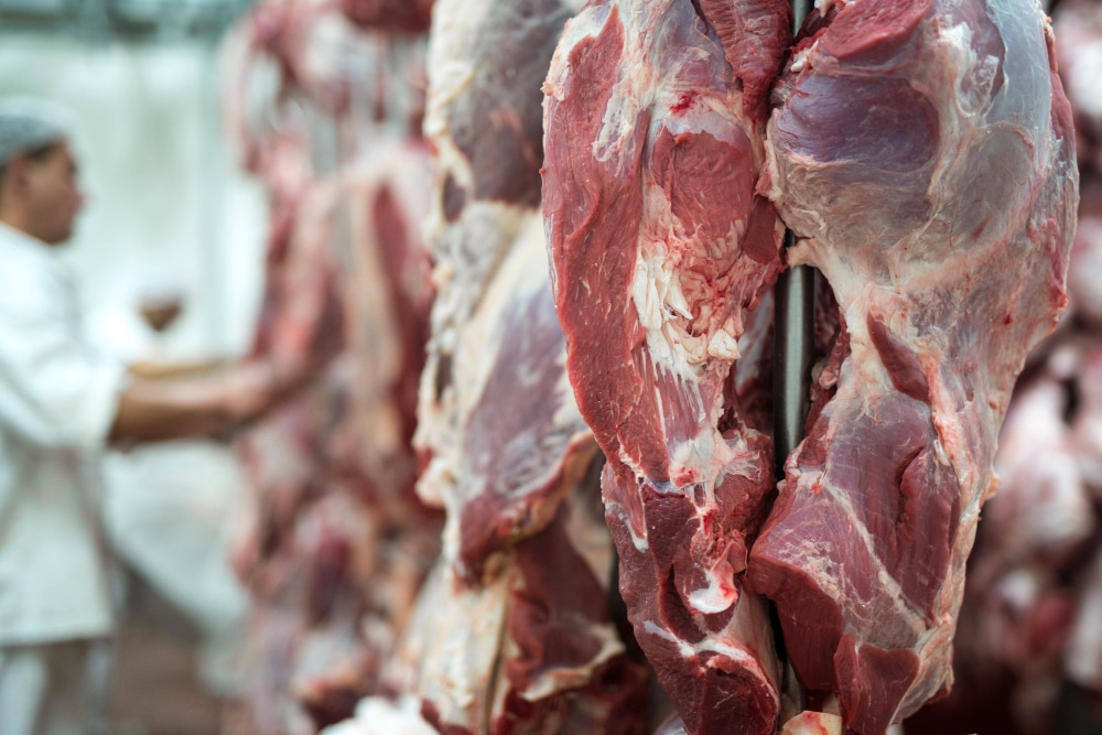 Japón y Corea del Sur: Nuevos mercados para la carne vacuna uruguaya