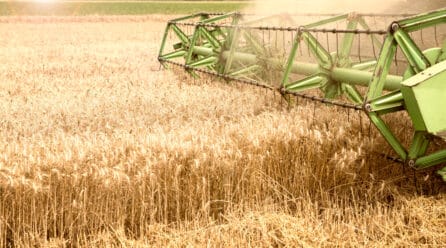 ¿Cuál es el impacto del cultivo de soja de Argentina?