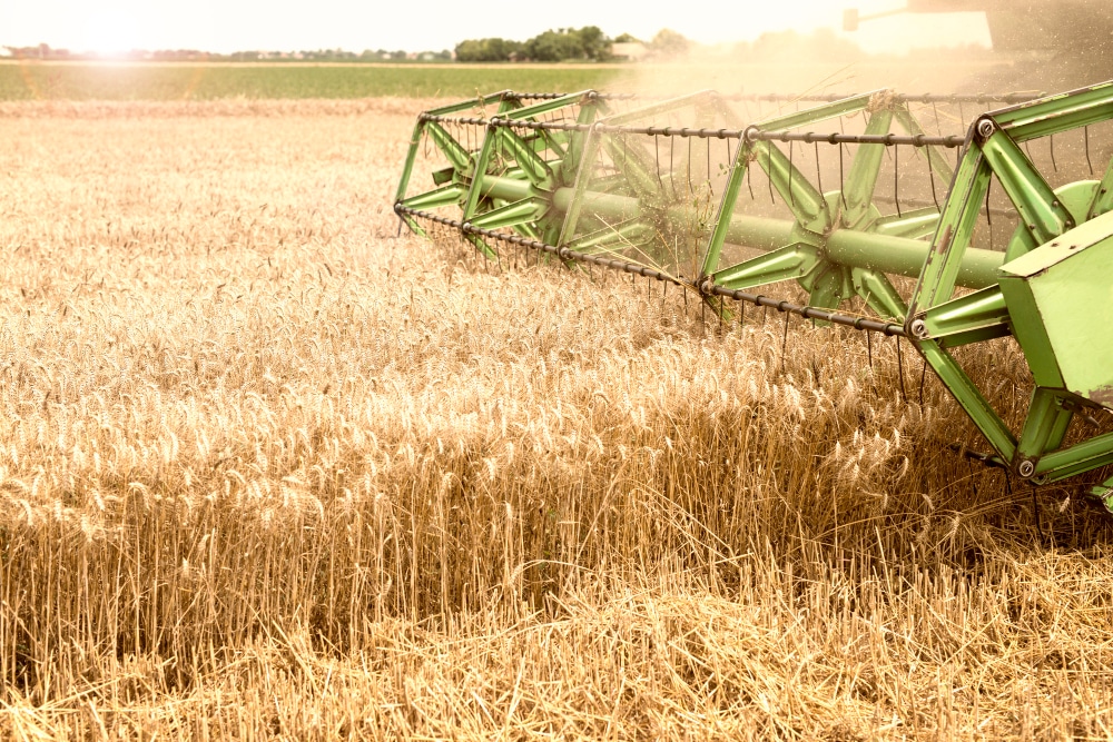 ¿Cuál es el impacto del cultivo de soja de Argentina?