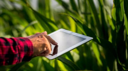 AgroIA impulsa el uso de inteligencia artificial en la industria hortofrutícola chilena