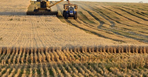 Campaña agrícola europea 2021/2022: perspectivas positivas para cereales y oleaginosas