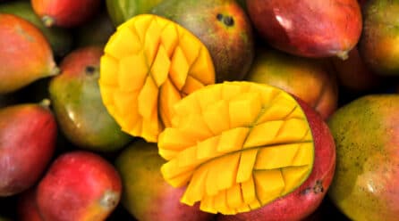 Comienza la «ventana» de la temporada de mangos finalizada en Estados Unidos