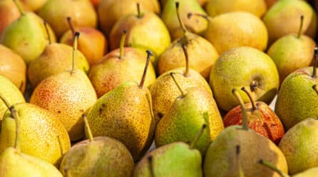 Argentina pronostica que la comercialización de peras y manzanas disminuirá en el transcurso de 2021