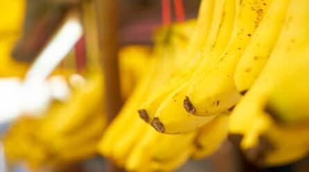 Ecuador: Sector bananero busca un acuerdo comercial con Rusia