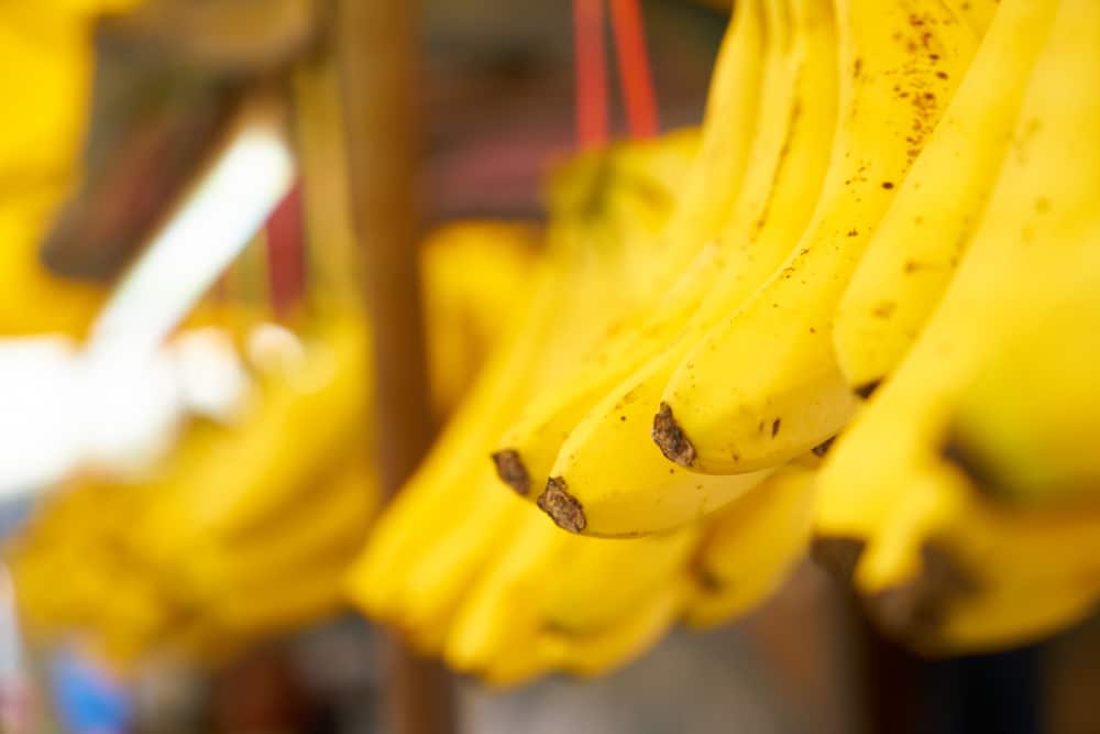 Ecuador: Sector bananero busca un acuerdo comercial con Rusia