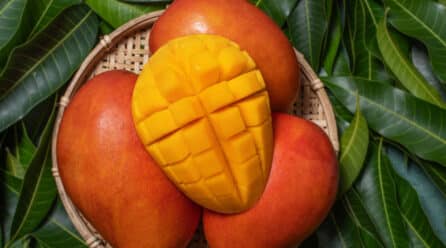 Se espera hasta un crecimiento del 12% en la temporada de mango en Brasil