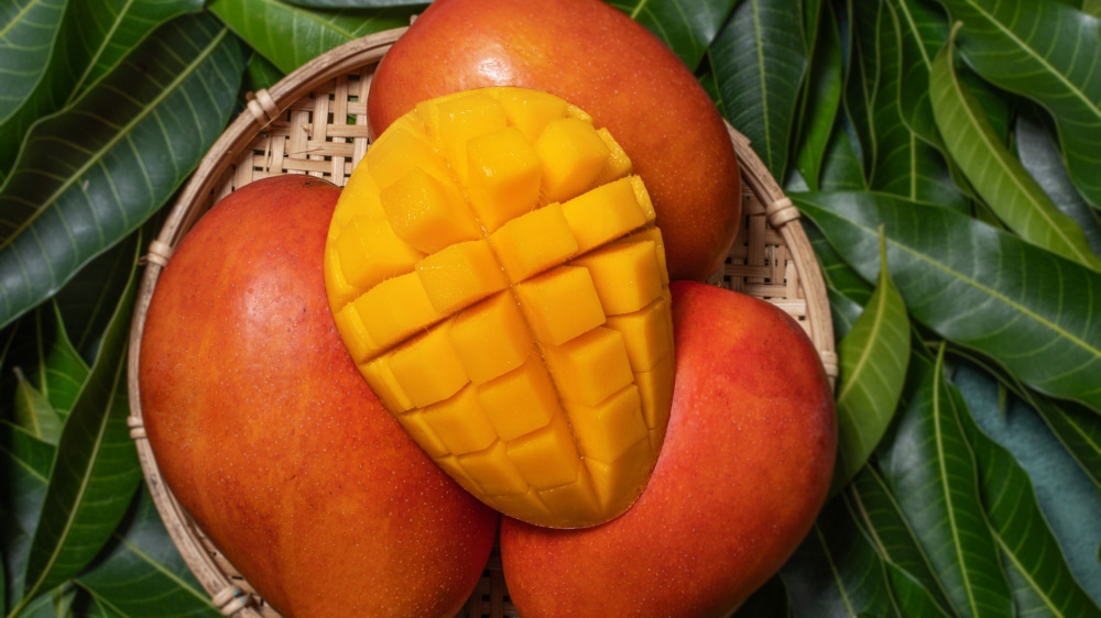 Se espera hasta un crecimiento del 12% en la temporada de mango en Brasil