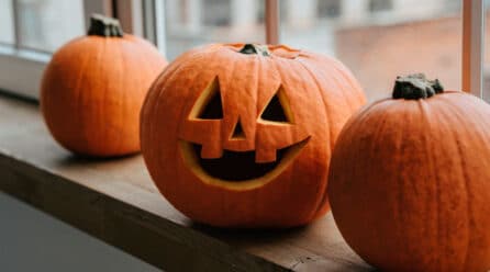 La calabaza decorativa de ​​Halloween impulsa el consumo de calabaza en España todo el año