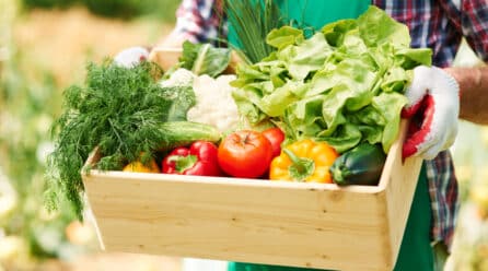 México aumenta la oferta de vegetales frescos con certificados de inocuidad en tiendas de autoservicio