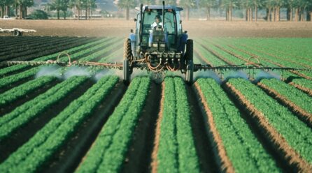 SOSrural: productores anuncian movilizaciones en diciembre