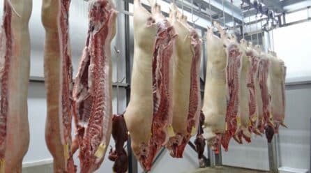 Trabajadores de la industria cárnica: huelga afectaría 8000 en Murcia