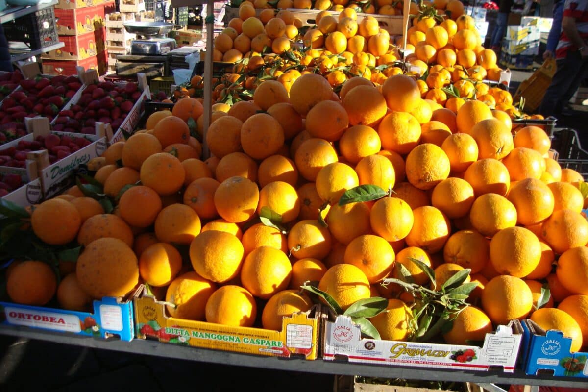 La exportación de naranjas continúa en baja: Andalucía, 10% menos