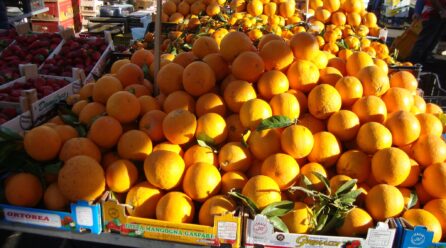 La exportación de naranjas continúa en baja: Andalucía, 10% menos