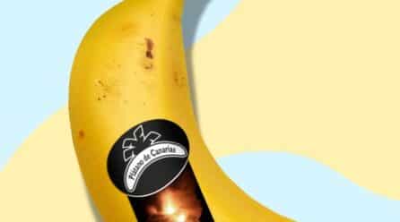 Autorizan la comercialización de plátanos dañados por la ceniza del volcán
