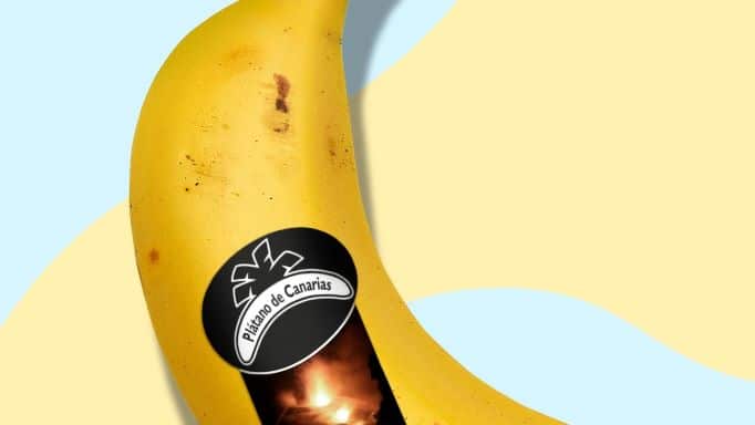 Autorizan la comercialización de plátanos dañados por la ceniza del volcán