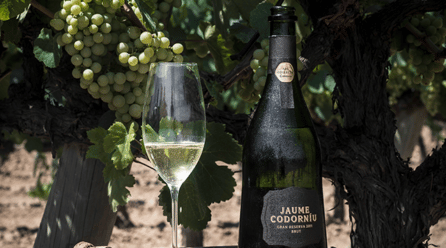 Cava ecológico: Raventós Codorníu, líder mundial y 100% sostenible
