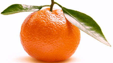 Innovación alimentaria: logran las primeras clementinas del mundo con huella de nitrato cero