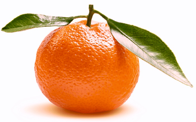 Innovación alimentaria: logran las primeras clementinas del mundo con huella de nitrato cero
