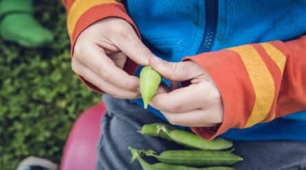Consumo sostenible: 42% de los europeos dejó de comprar productos de alto impacto ambiental