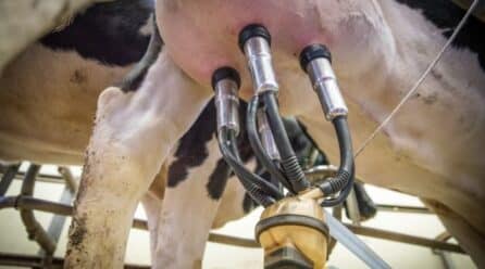 Organizaciones agrarias lácteas se movilizan en defensa del sector
