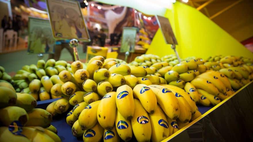 Se le exige a supermercados de Europa y Estados Unidos precios justos para bananas
