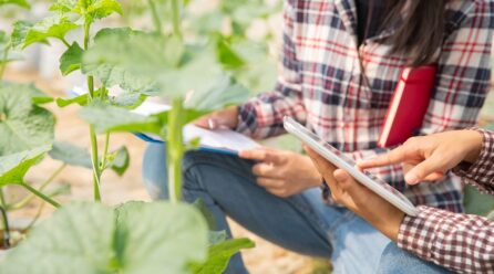 Digitalización en agroalimentación: lanzan plan por 64 millones de euros