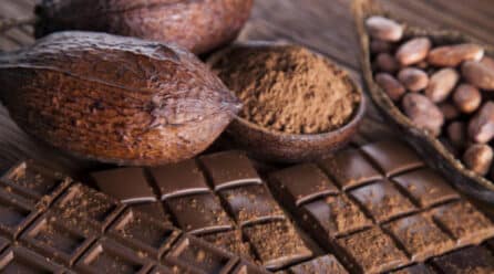 La industria cacaotera de Nicaragua busca dominar el mercado local