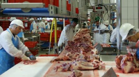 Exportación de la industria alimentaria: precios aumentan 7,4% interanual