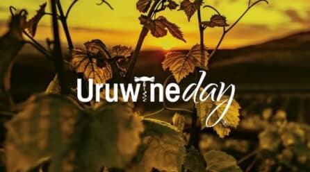 Uruwineday, festival del vino uruguayo