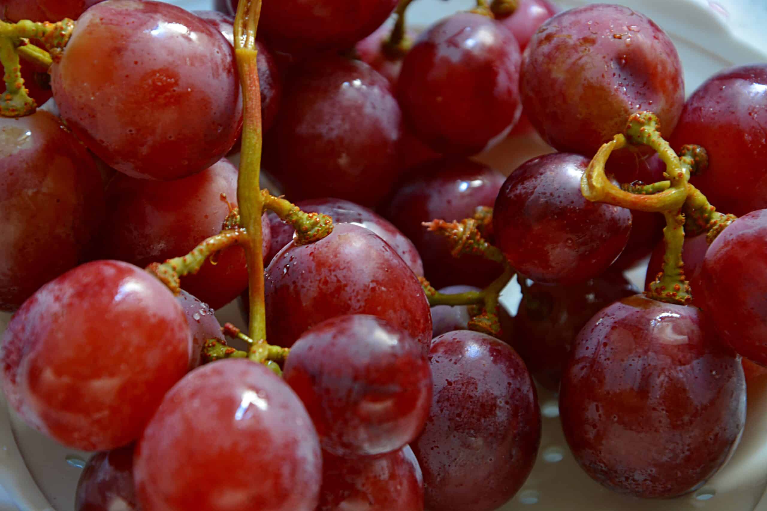 Frescas o en conserva, las uvas de Nochevieja que no pueden faltar