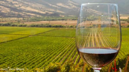 Años récord para la exportación de vinos argentinos