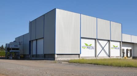 Para Expandirse Por El Mundo, Continental Grain Company Invertirá En Agroberries