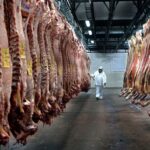 Exportación de carne