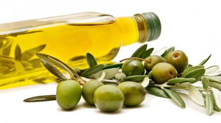 Córdoba espera vender todo el aceite de oliva de la campaña 2021-2022