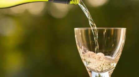 El Plan Europeo contra el Cáncer y el consumo de alcohol